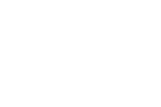 IBS Logo